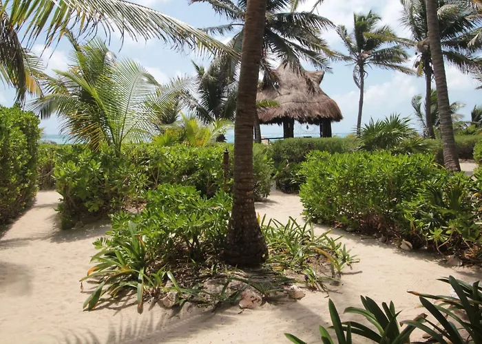 Sol Caribe